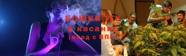 мяу мяу мука Кулебаки