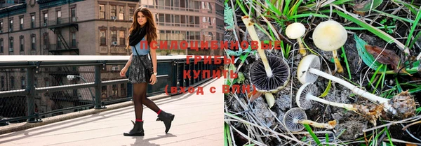 спайс Кукмор