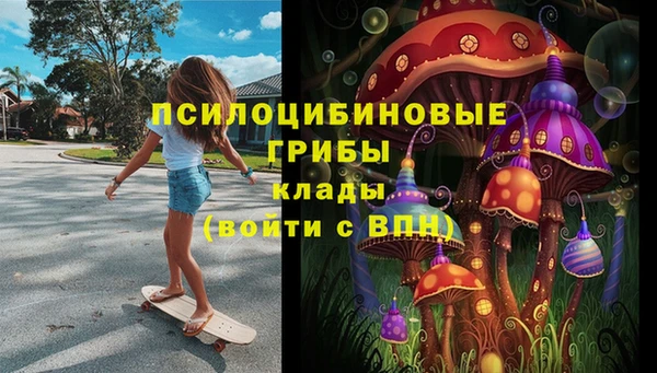 Альфа ПВП Куйбышев