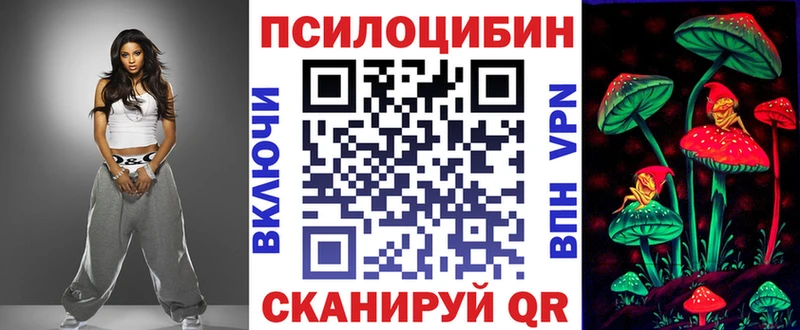 Купить закладки  Чернушка  Псилоцибиновые грибы ЛСД 